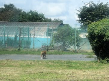 岩手サファリパークに投稿された画像（2023/9/10）