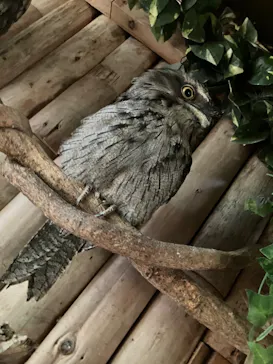 神戸どうぶつ王国に投稿された画像（2023/9/10）