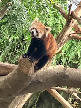 神戸どうぶつ王国に投稿された画像（2023/9/10）