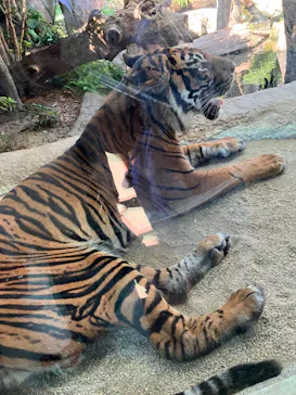 神戸どうぶつ王国に投稿された画像（2023/9/10）