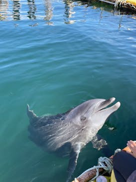 日間賀島ドルフィンビーチに投稿された画像（2023/9/10）