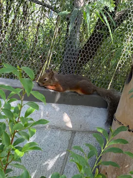 神戸どうぶつ王国に投稿された画像（2023/9/10）