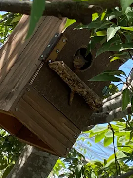 神戸どうぶつ王国に投稿された画像（2023/9/10）