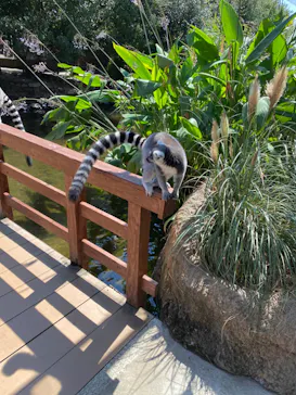 神戸どうぶつ王国に投稿された画像（2023/9/10）