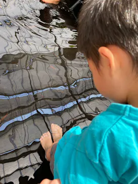 神戸どうぶつ王国に投稿された画像（2023/9/10）