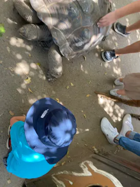 神戸どうぶつ王国に投稿された画像（2023/9/10）