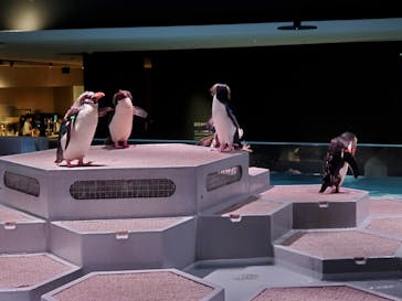 AOAO SAPPOROに投稿された画像（2023/9/10）