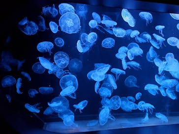 AOAO SAPPOROに投稿された画像（2023/9/10）