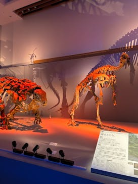 DinoScience 恐竜科学博 2023@TOKYO MIDTOWNに投稿された画像（2023/9/10）
