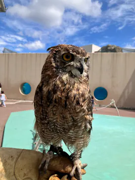 横浜・八景島シーパラダイスに投稿された画像（2023/9/10）