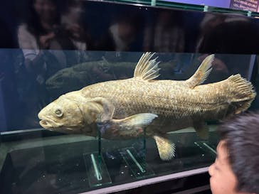 特別展「海　―生命のみなもと―」（国立科学博物館）に投稿された画像（2023/9/10）