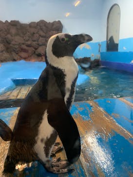 ゼロ距離水族館 伊勢シーパラダイスに投稿された画像（2023/9/10）