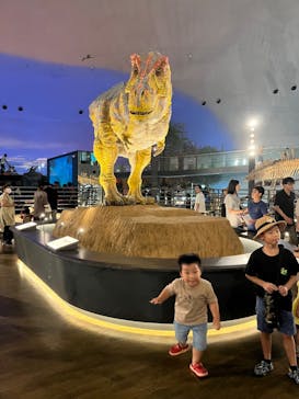 福井県立恐竜博物館に投稿された画像（2023/9/10）