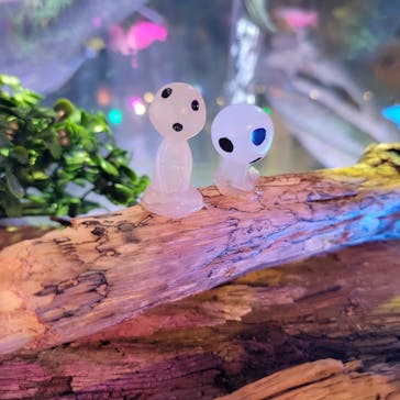 NARA IKIMONO MUSEUMに投稿された画像（2023/9/10）