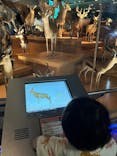 国立科学博物館に投稿された画像（2023/9/10）