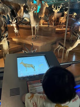 国立科学博物館に投稿された画像（2023/9/10）