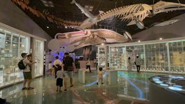 国立科学博物館に投稿された画像（2023/9/10）