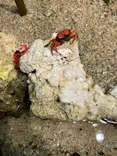 サンシャイン水族館に投稿された画像（2023/9/10）