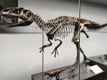 福井県立恐竜博物館に投稿された画像（2023/9/10）