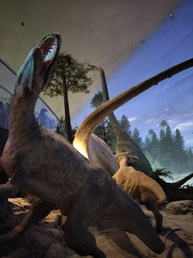 福井県立恐竜博物館に投稿された画像（2023/9/10）