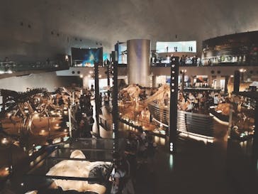 福井県立恐竜博物館に投稿された画像（2023/9/10）