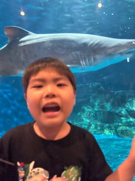 しながわ水族館に投稿された画像（2023/9/10）