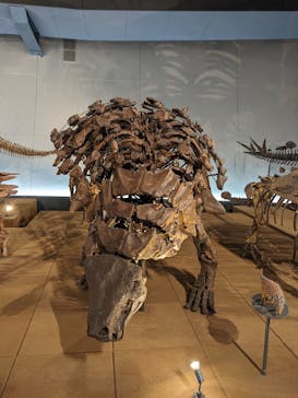 福井県立恐竜博物館に投稿された画像（2023/9/10）