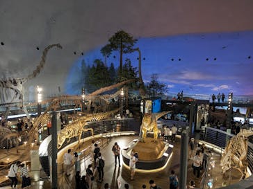 福井県立恐竜博物館に投稿された画像（2023/9/10）