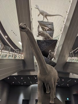 福井県立恐竜博物館に投稿された画像（2023/9/10）