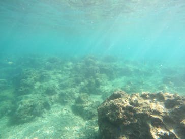 沖縄マリンサービス碧に投稿された画像（2023/9/10）