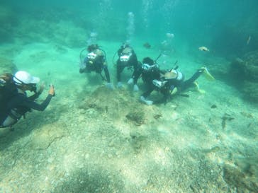 沖縄マリンサービス碧に投稿された画像（2023/9/10）