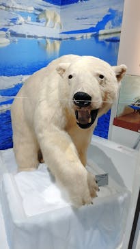 特別展「海　―生命のみなもと―」（国立科学博物館）に投稿された画像（2023/9/10）