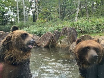 サホロリゾート　ベア･マウンテンに投稿された画像（2023/9/10）