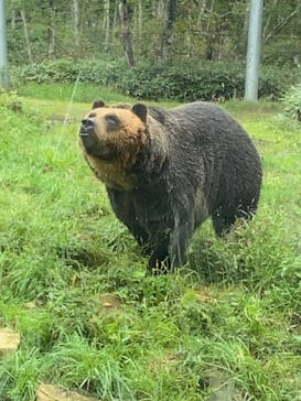 サホロリゾート　ベア･マウンテンに投稿された画像（2023/9/10）