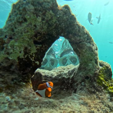 青の洞窟専門店　沖縄ダイビングショップ和に投稿された画像（2023/9/10）