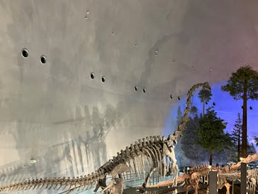 福井県立恐竜博物館に投稿された画像（2023/9/10）