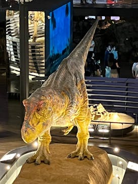 福井県立恐竜博物館に投稿された画像（2023/9/10）