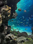 サンシャイン水族館に投稿された画像（2023/9/10）