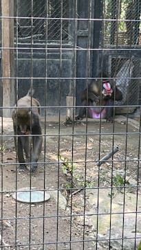 到津の森公園に投稿された画像（2023/9/10）