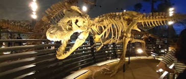 福井県立恐竜博物館に投稿された画像（2023/9/10）