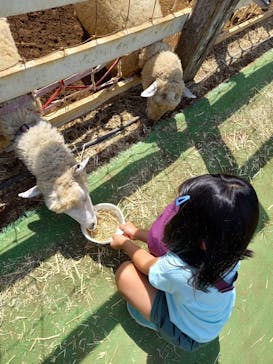 成田ゆめ牧場に投稿された画像（2023/9/10）