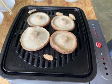 トクリン　こんどうちゃんきのこ農園に投稿された画像（2023/9/10）