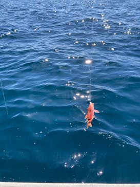 らいおん丸に投稿された画像（2023/9/10）