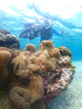 nico 宮古島に投稿された画像（2023/9/10）