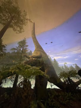 福井県立恐竜博物館に投稿された画像（2023/9/10）