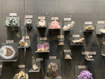 福井県立恐竜博物館に投稿された画像（2023/9/10）