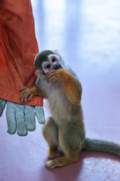 那須ワールドモンキーパークに投稿された画像（2023/9/10）