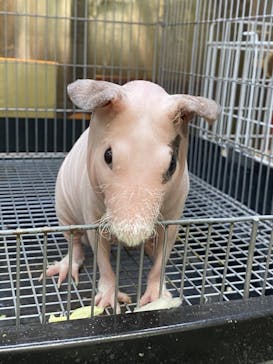 アニPONワールドに投稿された画像（2023/9/10）