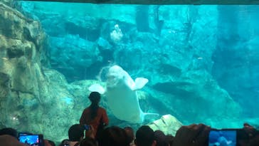 名古屋港水族館に投稿された画像（2023/9/10）