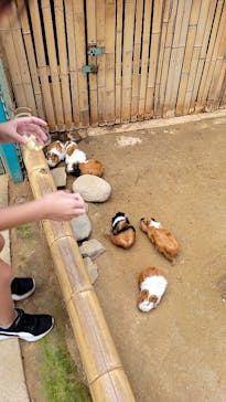 東北サファリパークに投稿された画像（2023/9/10）